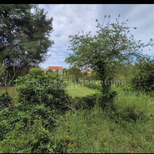 KUĆA ZA ADAPTACIJU S VELIKOM OKUĆNICOM - ZADAR (INVESTICIJSKA PRILIKA)