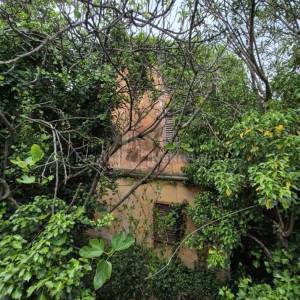 KUĆA ZA ADAPTACIJU S VELIKOM OKUĆNICOM - ZADAR (INVESTICIJSKA PRILIKA)