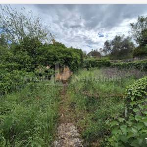 KUĆA ZA ADAPTACIJU S VELIKOM OKUĆNICOM - ZADAR (INVESTICIJSKA PRILIKA)