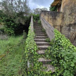 KUĆA ZA ADAPTACIJU S VELIKOM OKUĆNICOM - ZADAR (INVESTICIJSKA PRILIKA)