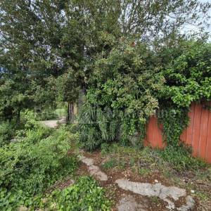 KUĆA ZA ADAPTACIJU S VELIKOM OKUĆNICOM - ZADAR (INVESTICIJSKA PRILIKA)