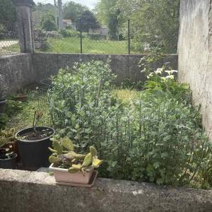 Labin, okolica, kuća za adaptaciju u manjem, mirnom selu