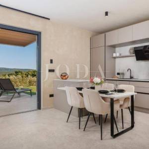 Labin, okolica, moderna Villa s bazenom i privatnim wellnessom