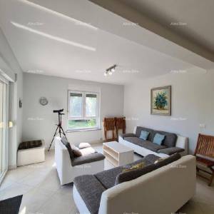 Ližnjan u prodaji  jedna velika i jedna mala kuća.