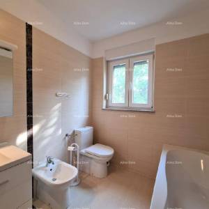 Ližnjan u prodaji  jedna velika i jedna mala kuća.