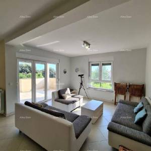 Ližnjan u prodaji  jedna velika i jedna mala kuća.