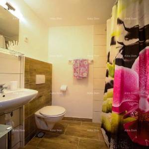 Ližnjan,istarska renovirana kuća!