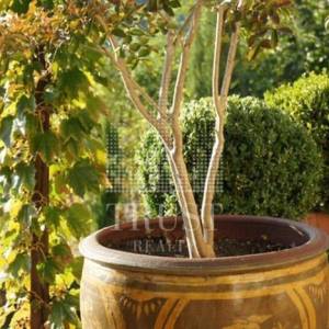 Luksuzni kameni resort – dvije kamene ljepotice s grijanim bazenom i prekrasnim dvorištem, 2 km od mora