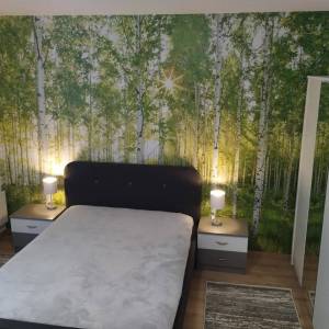 Maksimir-Svetice, novoadaptiran 1-sobni stan 35m2, visoko prizemlje