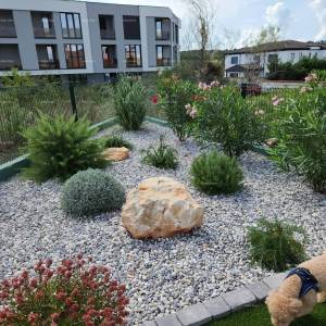 Moderna oaza s bazenom i vlastitim vrtom u Banjolama. Zgrada ima uporabnu dozvolu.