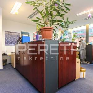 Najam, Ured, Trnje, Ulica grada Vukovara, 487m2
