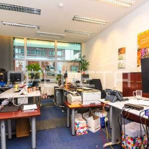 Najam, Ured, Trnje, Ulica grada Vukovara, 487m2