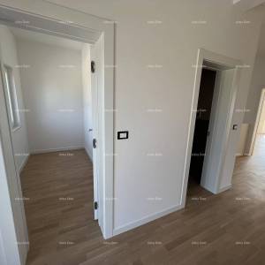 Nova  kuća sa bazenom, moderno uređena. 7 km do centra grada Poreča.