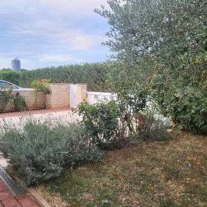 Novigrad, prizemnica s bazenom