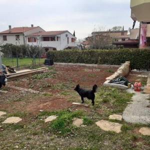 NOVIGRAD - Prodaja dva stana u obiteljskoj kući