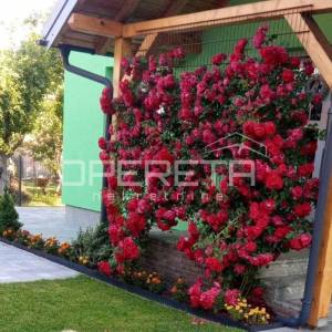 OBITELJSKA KUĆA, TUROPOLJE