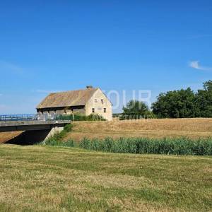 Osijek, Branjina, Popovac, samostojeća kuća, 819m2