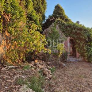 Otok Brač, Nerežišće, stara kamena kuća 106m2