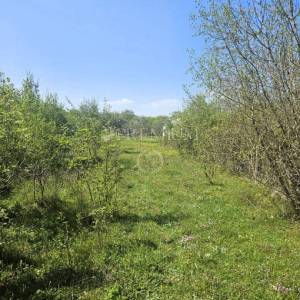 Otok Krk, Kras, poljoprivredno zemljište na prodaju!