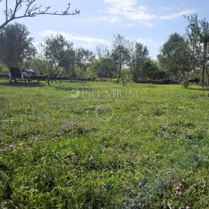 Otok Krk, Kras, poljoprivredno zemljište na prodaju!