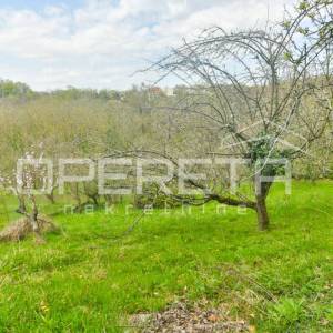 Pantovčak - poslovna zgrada ( 529m2) s pomočnim objektom 200m2, najam