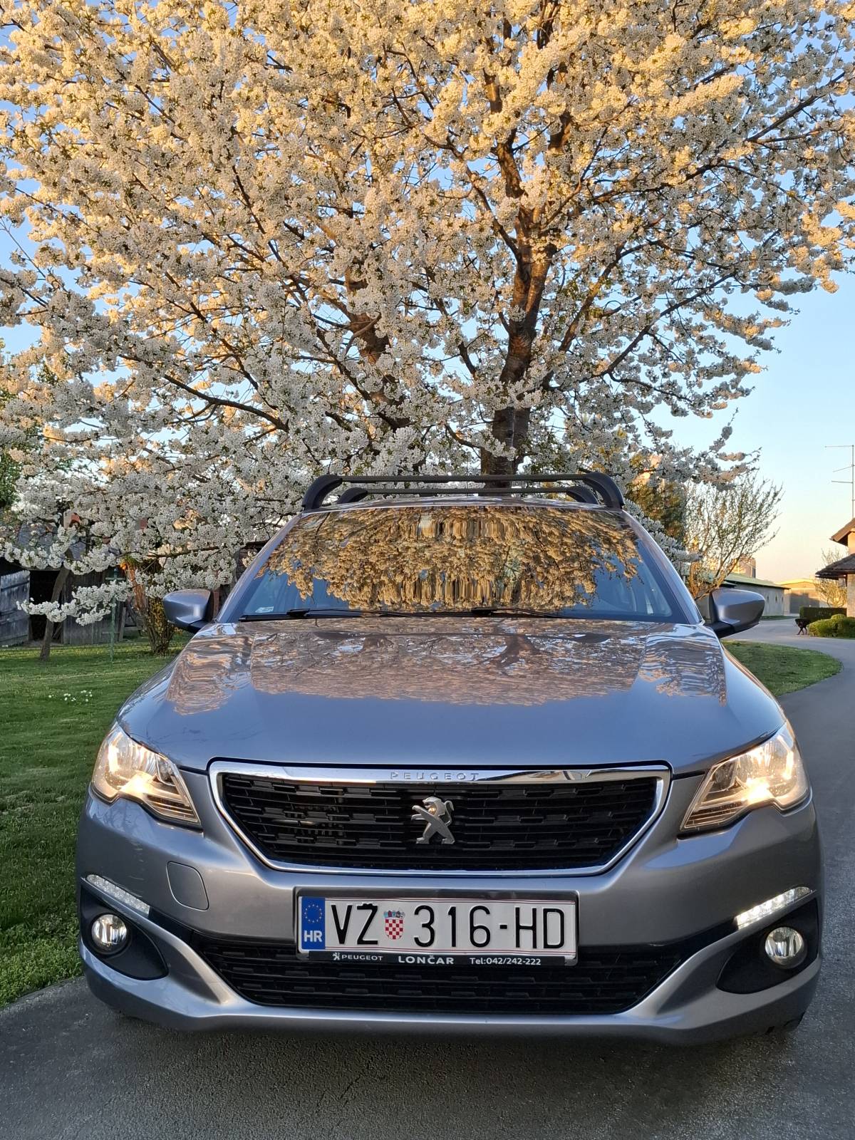 Peugeot 301 1,5 blue hdi