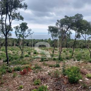 Poljoprivredne parcele - pogled more