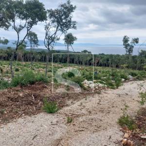 Poljoprivredne parcele - pogled more