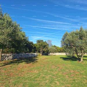 POLJOPRIVREDNO zemljište u blizini mora, Peroj-prodaja!