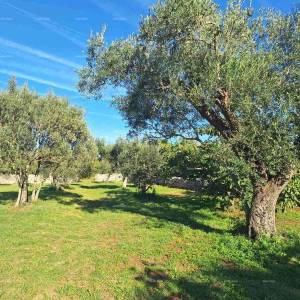 POLJOPRIVREDNO zemljište u blizini mora, Peroj-prodaja!