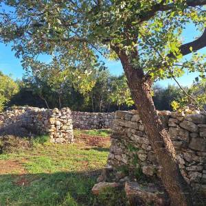 POLJOPRIVREDNO zemljište u blizini mora, Peroj-prodaja!