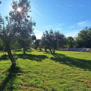 POLJOPRIVREDNO zemljište u blizini mora, Peroj-prodaja!