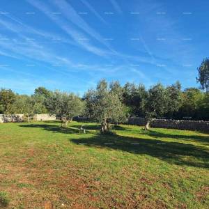 POLJOPRIVREDNO zemljište u blizini mora, Peroj-prodaja!