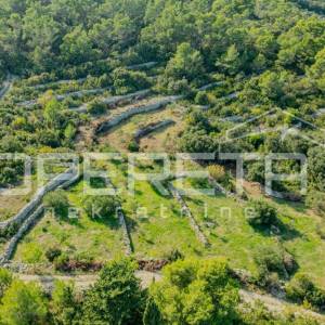 Poljoprivredno zemljište od 3050 m2 s maslinama i suhozidima
