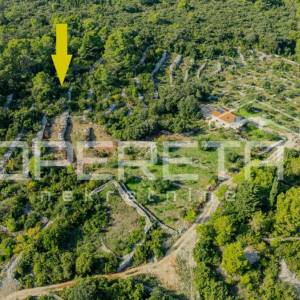 Poljoprivredno zemljište od 3050 m2 s maslinama i suhozidima