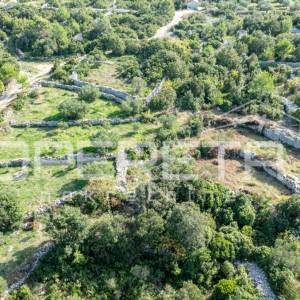 Poljoprivredno zemljište od 3050 m2 s maslinama i suhozidima