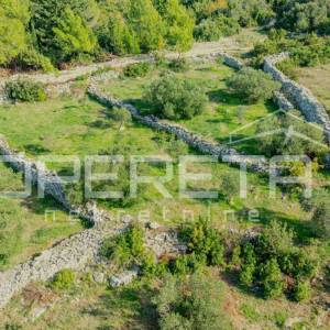 Poljoprivredno zemljište od 3050 m2 s maslinama i suhozidima