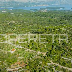 Poljoprivredno zemljište od 3050 m2 s maslinama i suhozidima