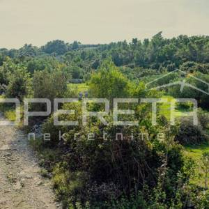 Poljoprivredno zemljište od 3050 m2 s maslinama i suhozidima