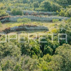 Poljoprivredno zemljište od 3050 m2 s maslinama i suhozidima