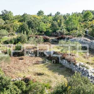 Poljoprivredno zemljište od 3050 m2 s maslinama i suhozidima