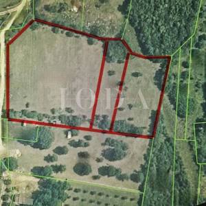 Poljoprivredno zemljište okruženo kućama,Rovinj okolica