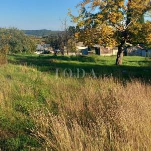 POPUST Dvojna kuća na zemljištu od 5.000m2,ROVINJ okolica