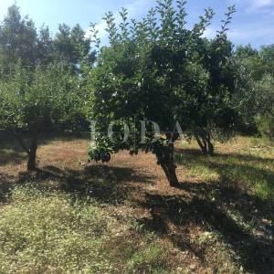 PRILIKA!POPUST!Lijepa dvojna kuća s otvorenim pogledom na more,LABIN okolica