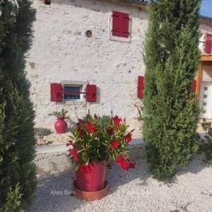 Prodaja: Dvije Povezane Kuće s velikim dvorištem, blizina Kanfanara