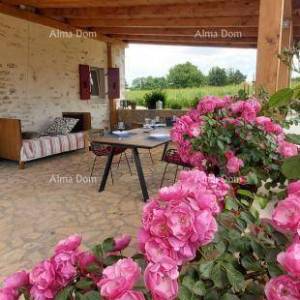 Prodaja: Dvije Povezane Kuće s velikim dvorištem, blizina Kanfanara