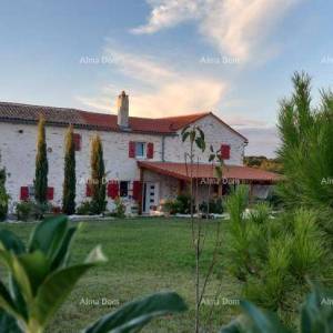 Prodaja: Dvije Povezane Kuće s velikim dvorištem, blizina Kanfanara