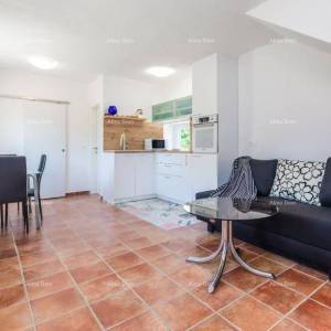 Prodaja: Dvije Povezane Kuće s velikim dvorištem, blizina Kanfanara