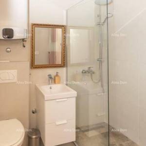 Prodaja: Dvije Povezane Kuće s velikim dvorištem, blizina Kanfanara