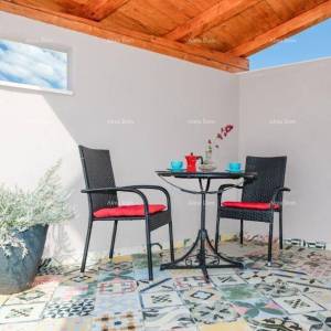 Prodaja: Dvije Povezane Kuće s velikim dvorištem, blizina Kanfanara